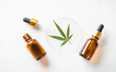 Cannabis terapeutica ed effetto Entourage: non solo Fitocannabinoidi
