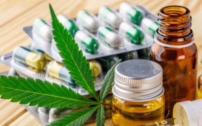 Cannabis medica in oncologia: quando è indicata e come può migliorare la qualità di vita del paziente