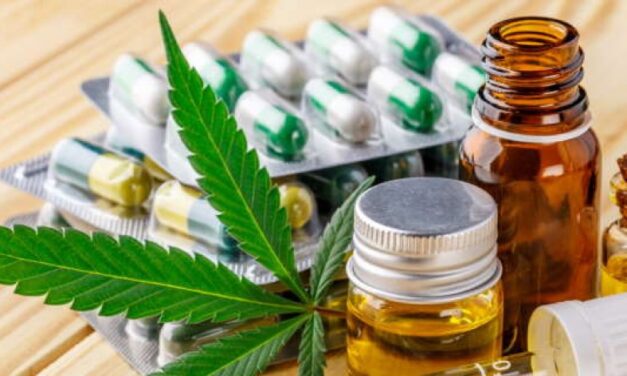 Cannabis medica in oncologia: quando è indicata e come può migliorare la qualità di vita del paziente